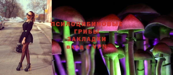 дживик Заволжск