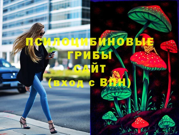 стафф Зеленодольск