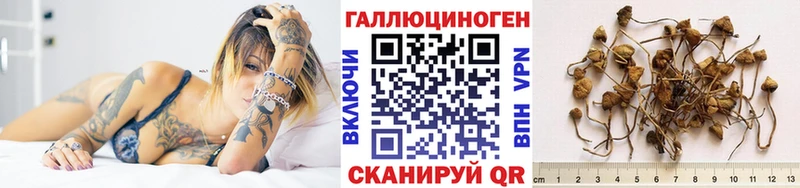 Псилоцибиновые грибы прущие грибы Себеж